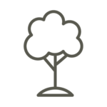 An icon of a tree.