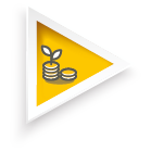 Triangle Icon - Cashflow