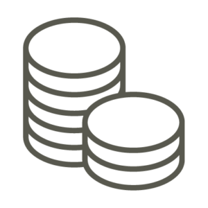 An icon of stacked coins.